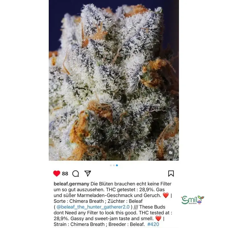Chimera Breath — 3