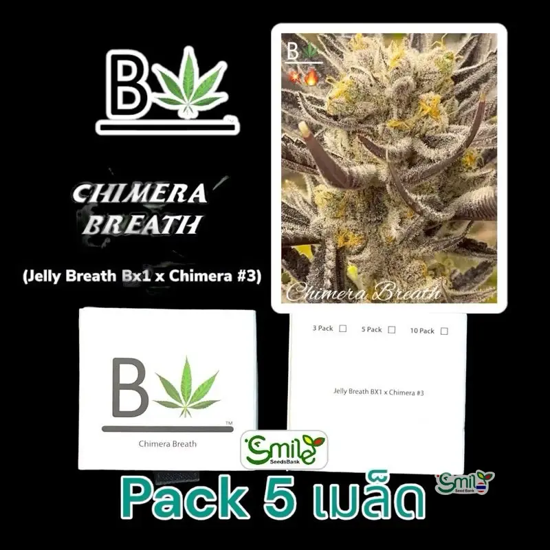 Chimera Breath — 5