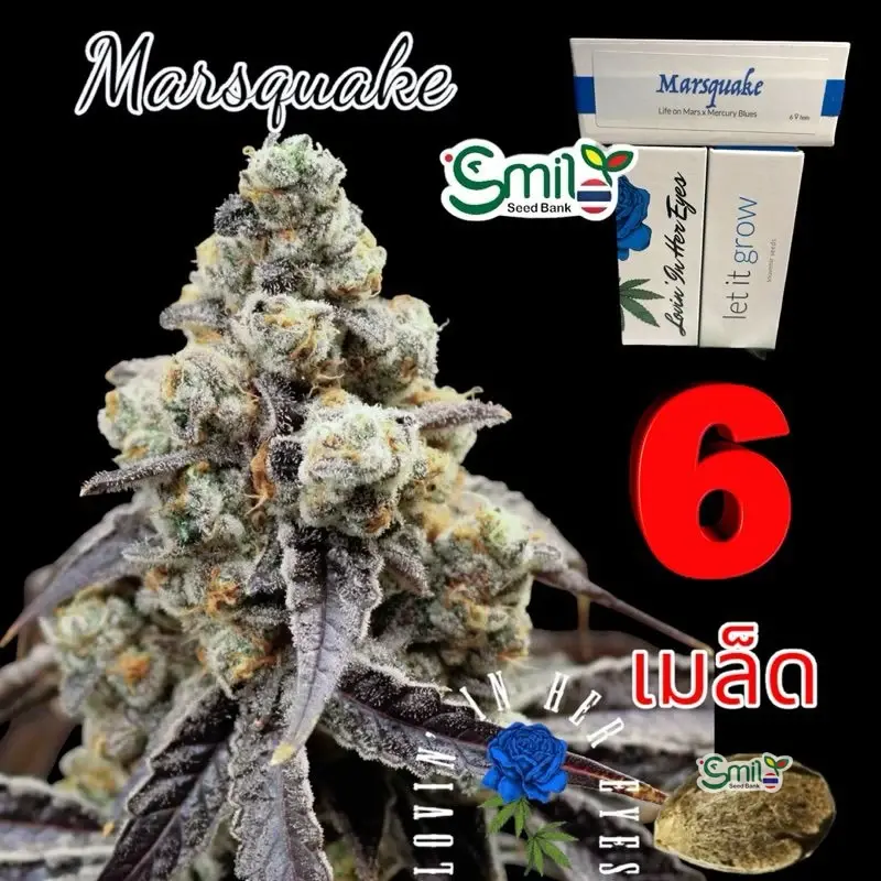 Marsquake — 1