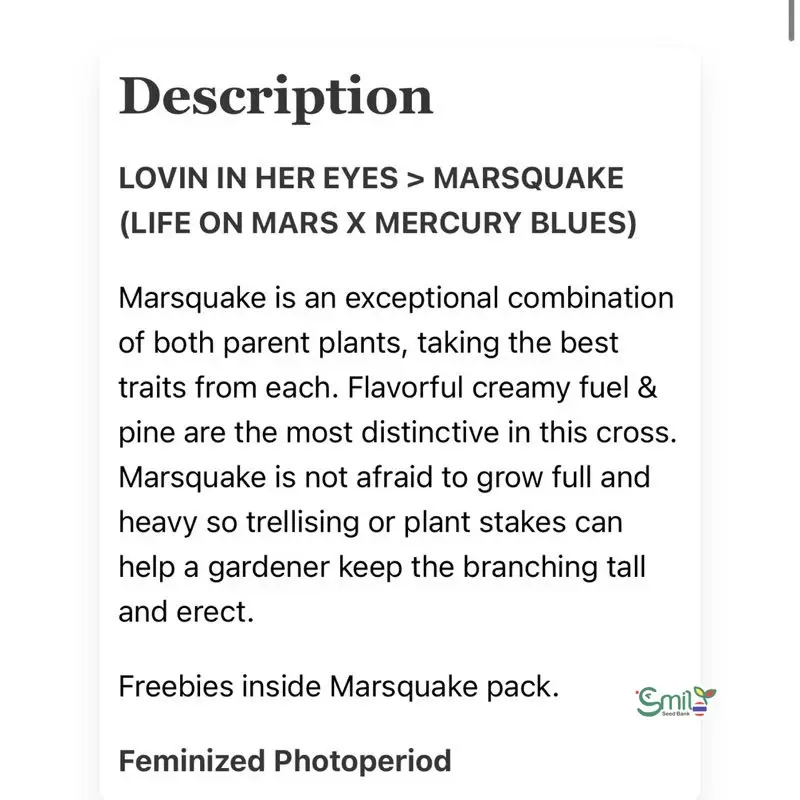 Marsquake — 5