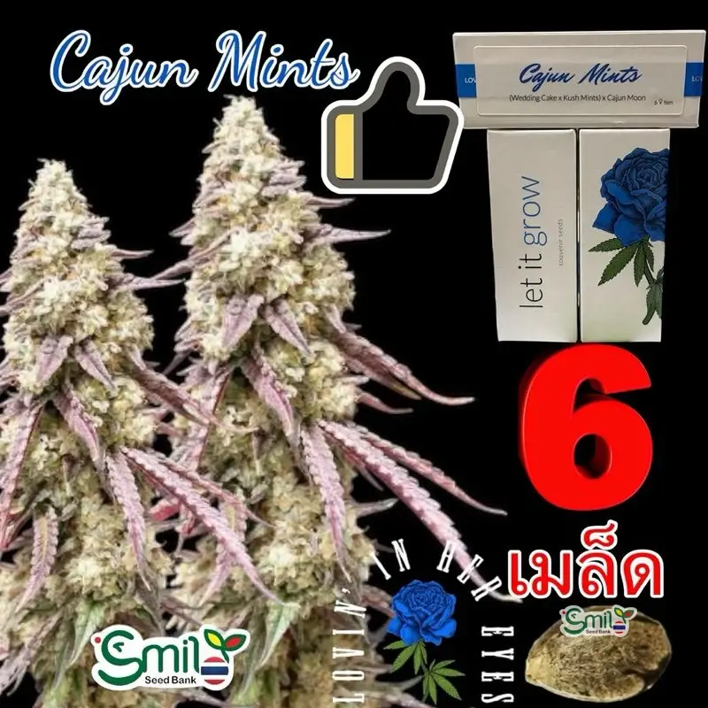 Cajun Mints — 1