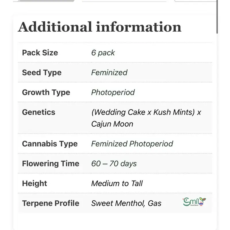 Cajun Mints — 3