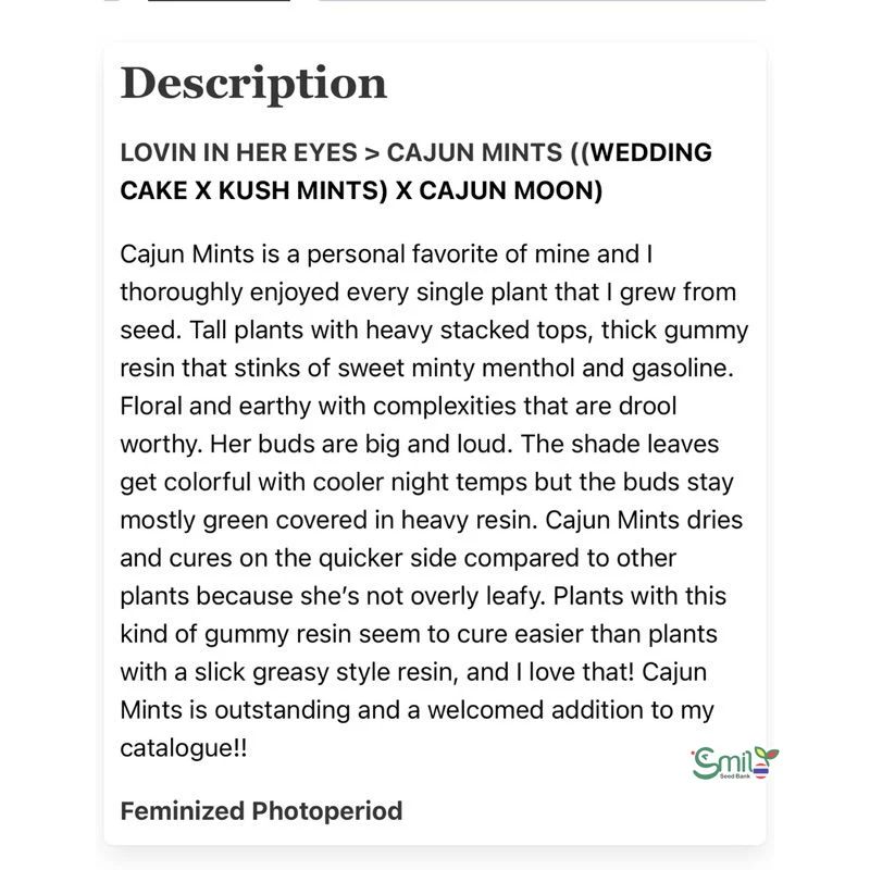 Cajun Mints — 4