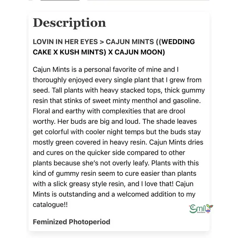 Cajun Mints — 4