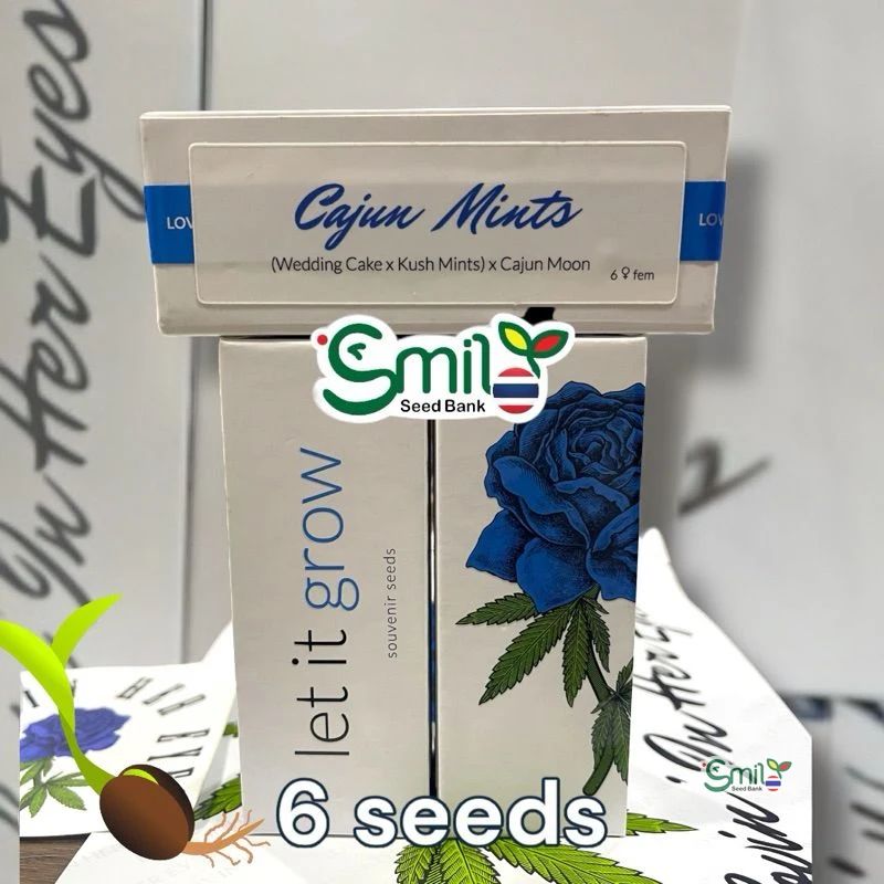Cajun Mints — 5