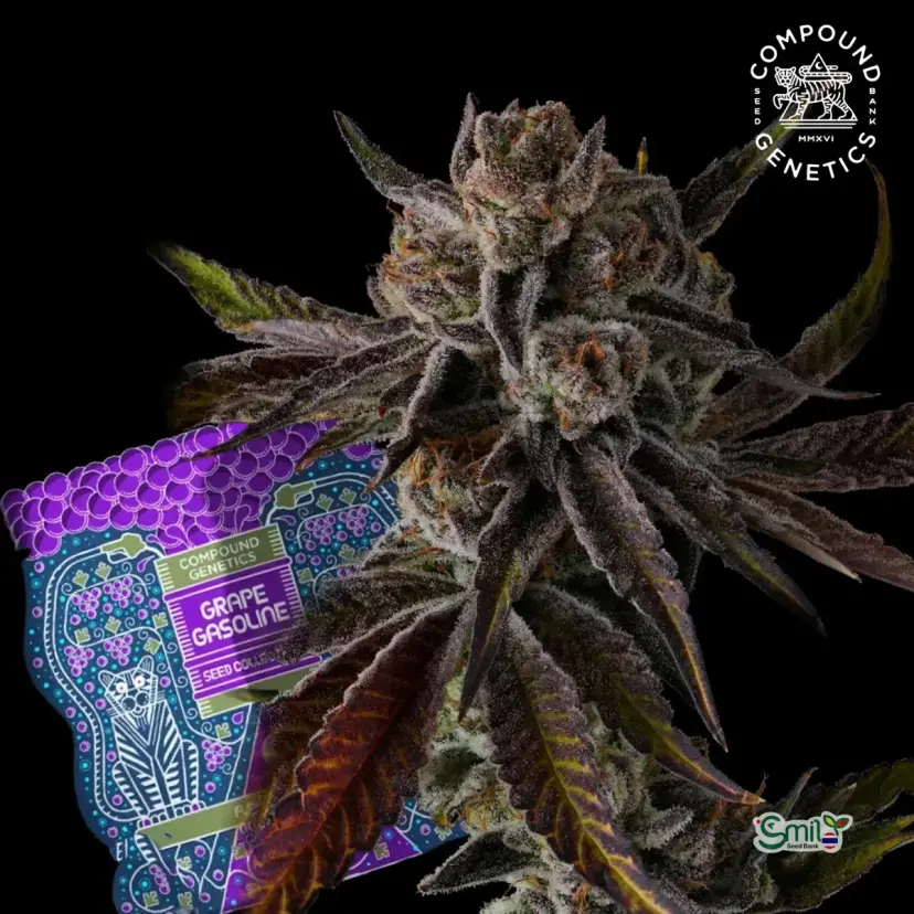 Purple Preserves — 4