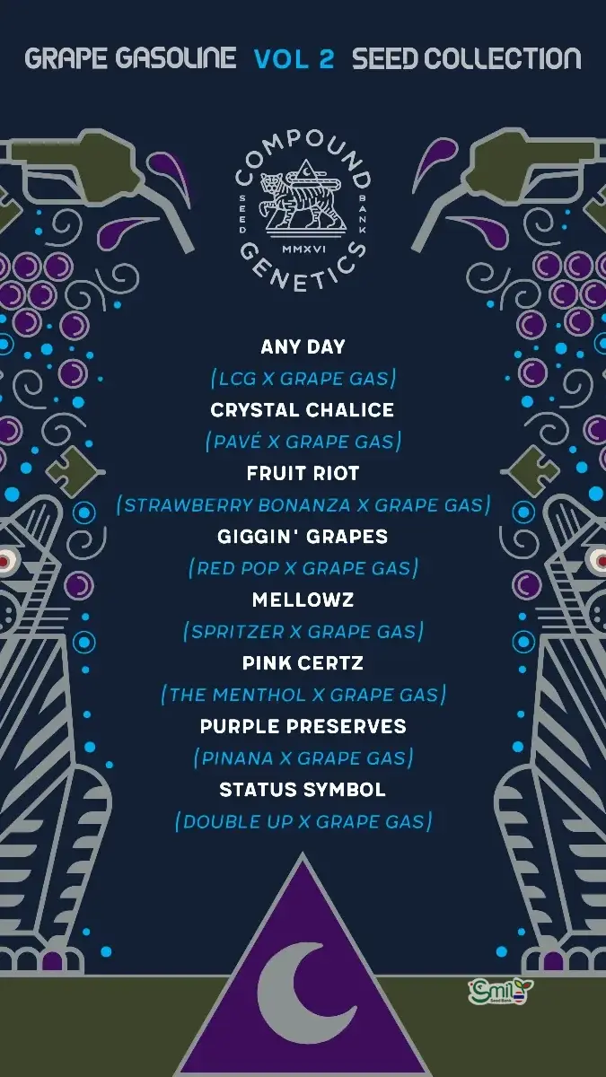 Fruit Riot — 4