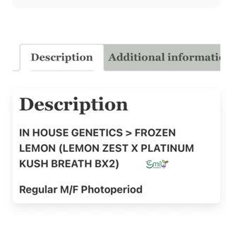 Frozen Lemon — 5