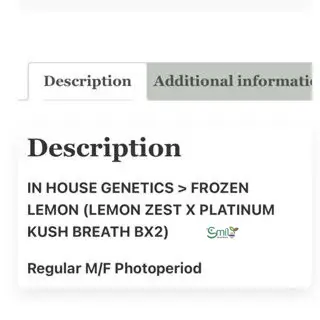 Frozen Lemon — 5