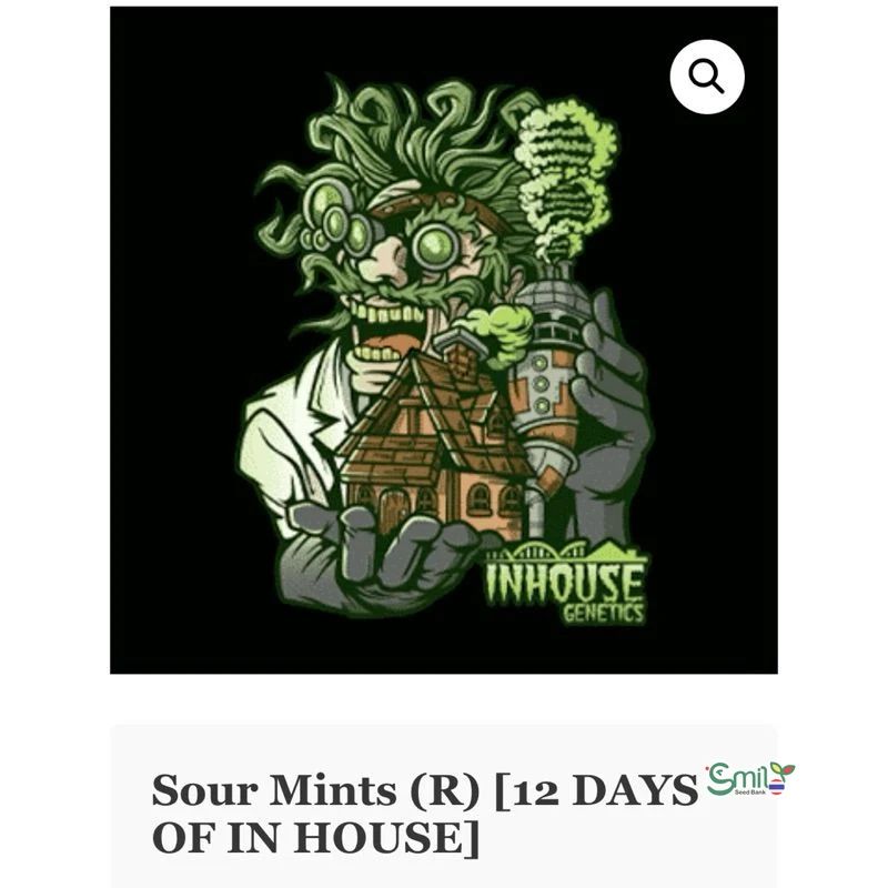 Sour Mints — 3