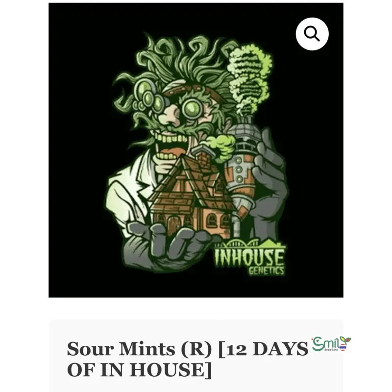 Sour Mints — 3