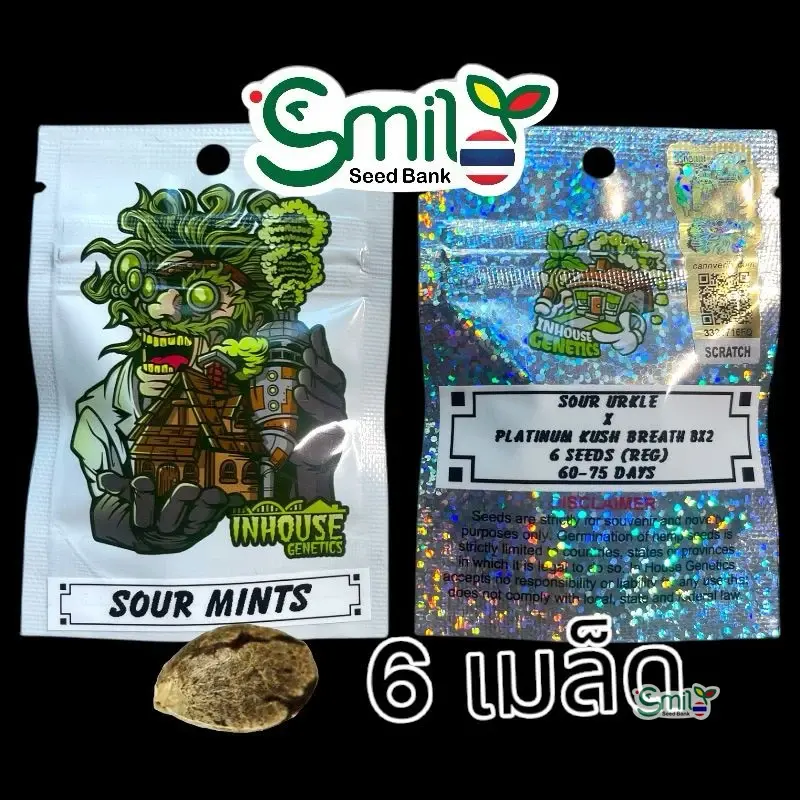 Sour Mints — 1