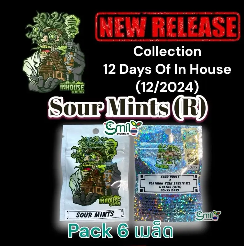 Sour Mints — 5