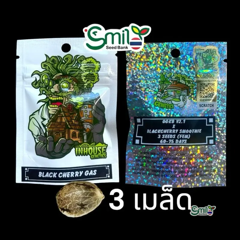 Black Cherry Gas — 1