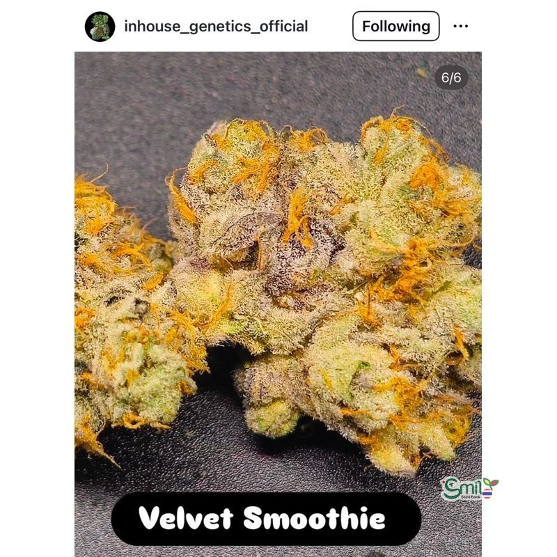 Velvet Smoothie — 2