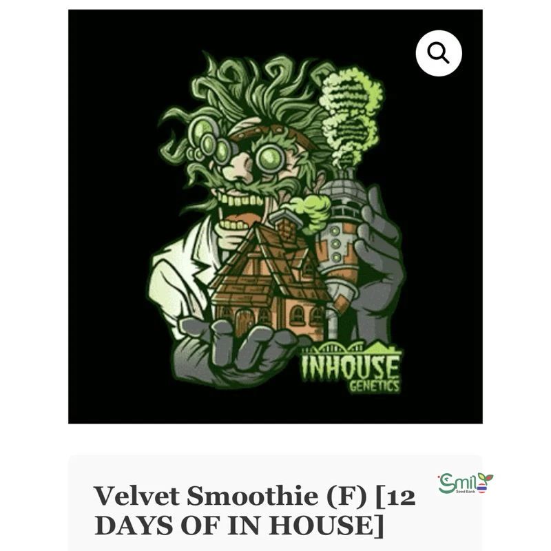 Velvet Smoothie — 4