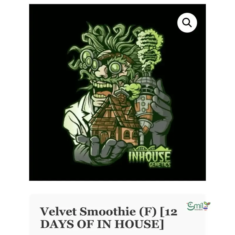 Velvet Smoothie — 4