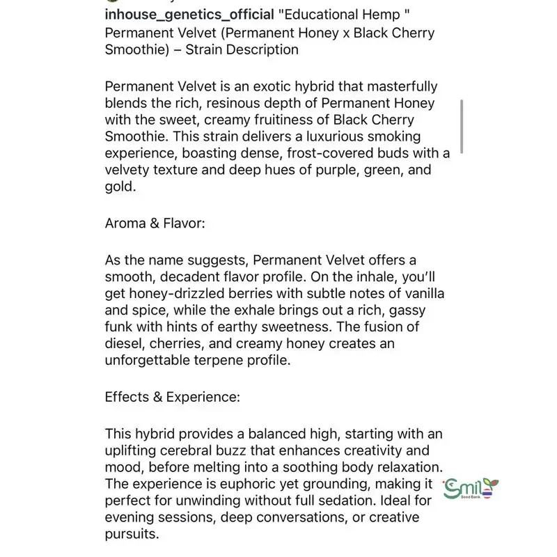 Permanent Velvet — 5