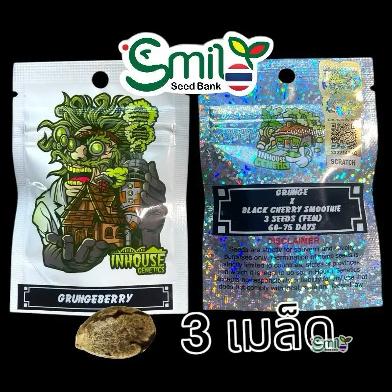 Grungeberry — 1