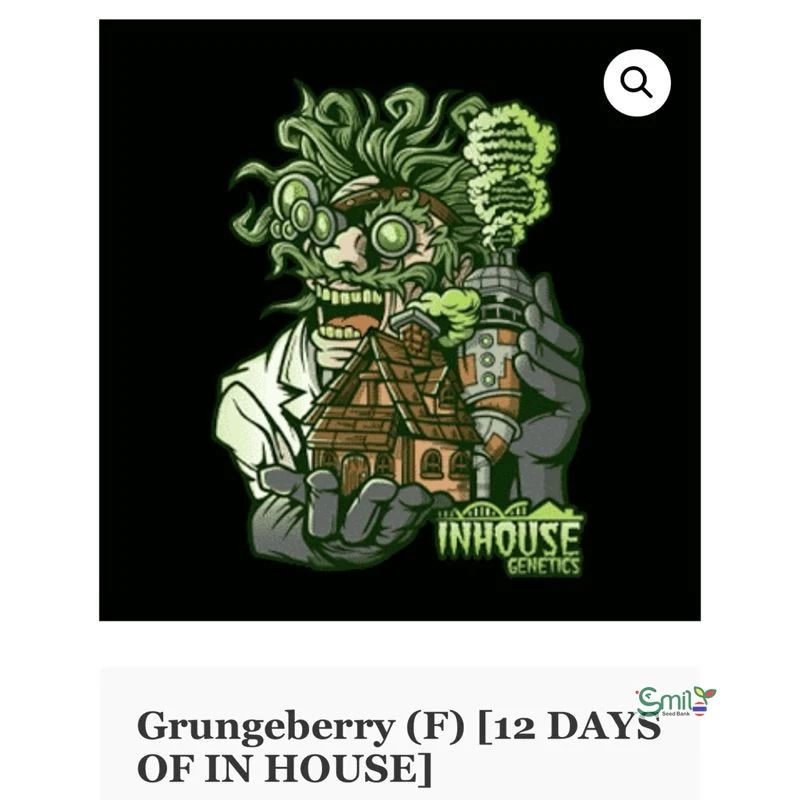 Grungeberry — 2