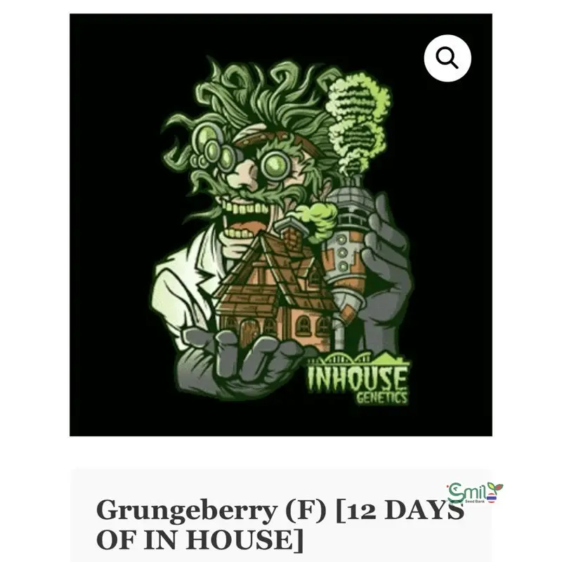Grungeberry — 2