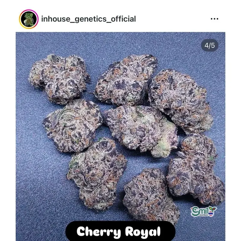 Cherry Royal — 2