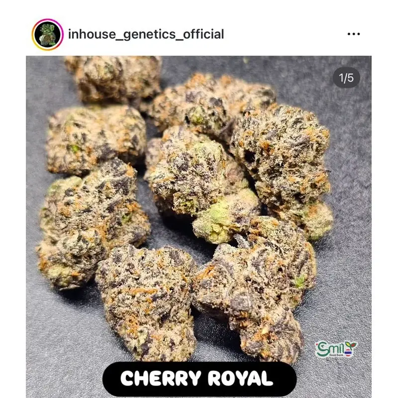 Cherry Royal — 3