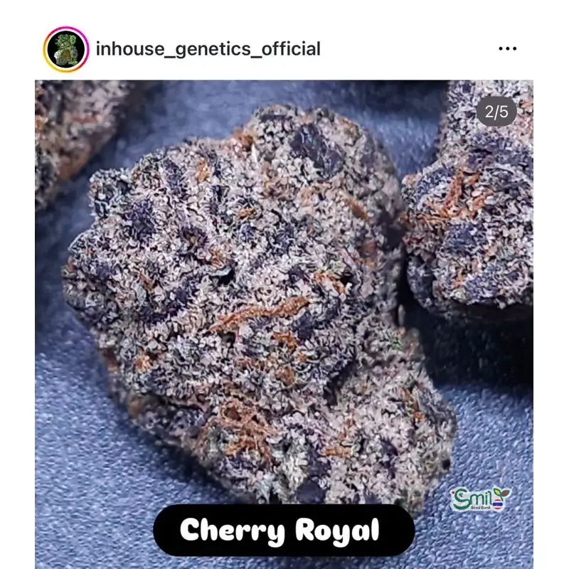 Cherry Royal — 4