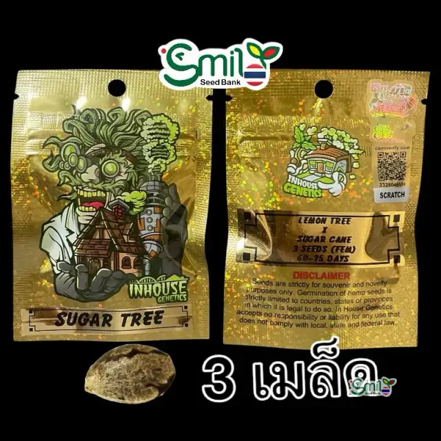 Sugar Tree — 1