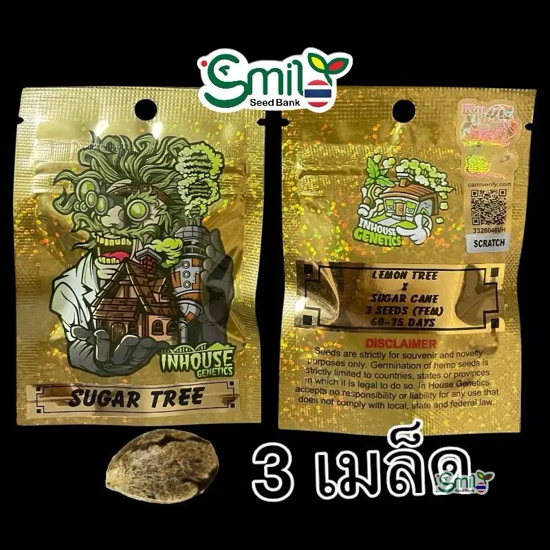 Sugar Tree — 1