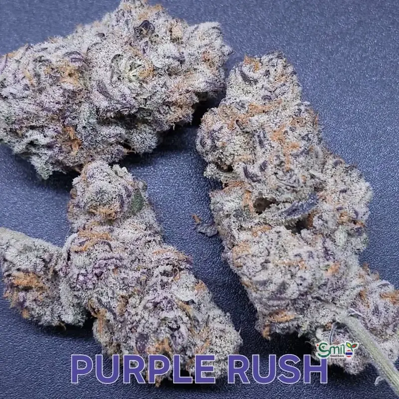 Purple Rush — 2