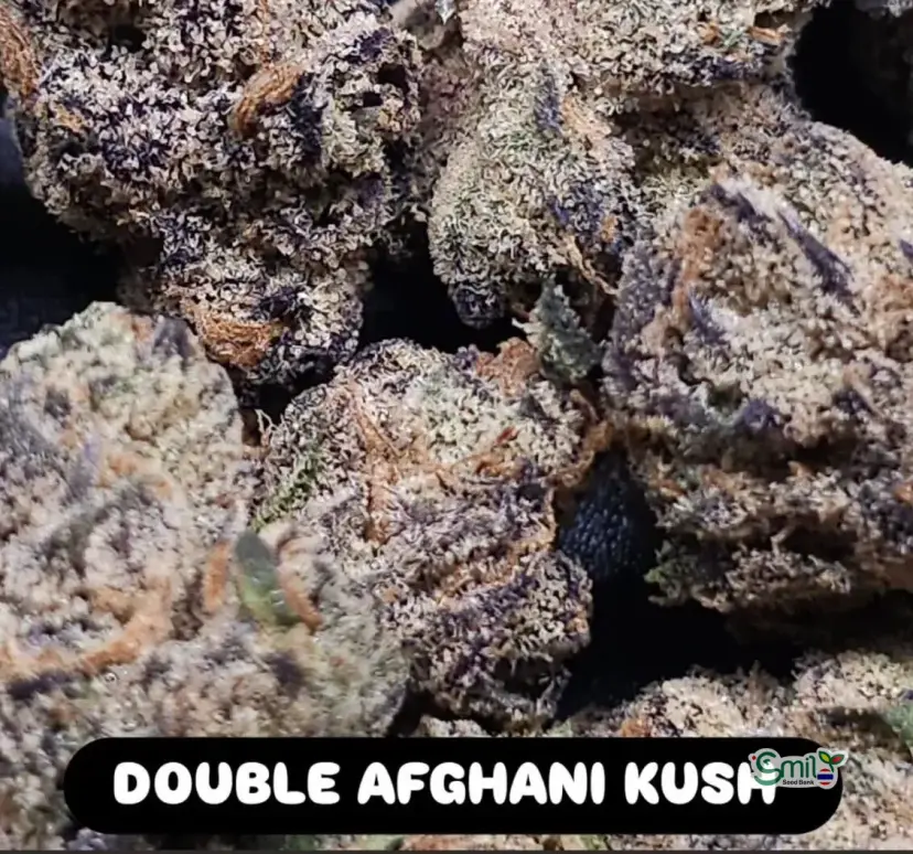 Double Afghani Kush — 1