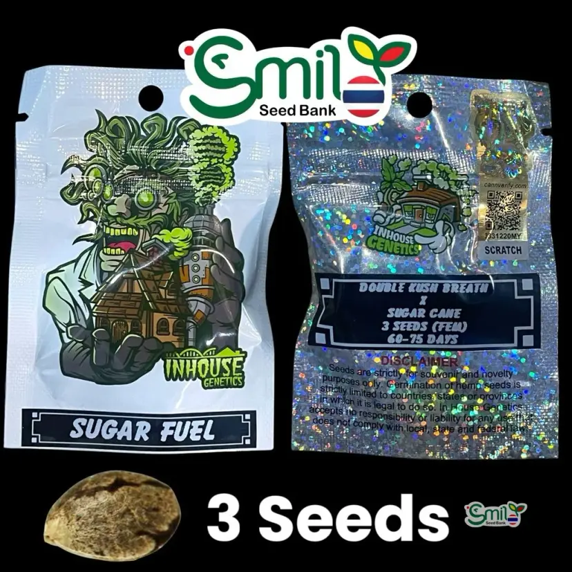 Sugar Fuel — 1