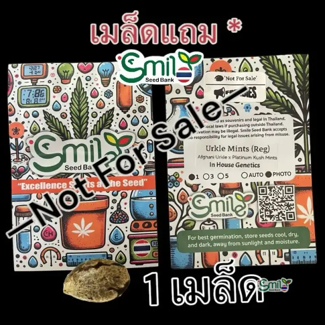 Urkle Mints — 1