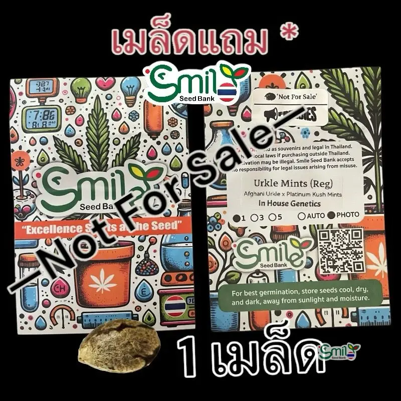 Urkle Mints — 1