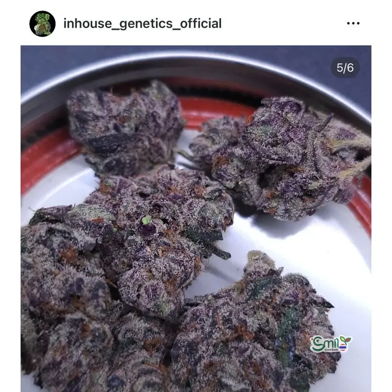 Urkle Mints — 2