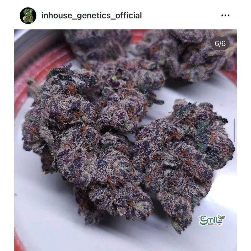 Urkle Mints — 3