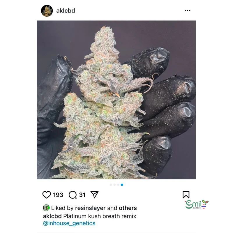 Platinum Kush Breath Remix — 5