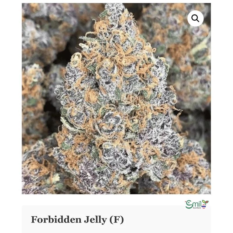 Forbidden Jelly — 2