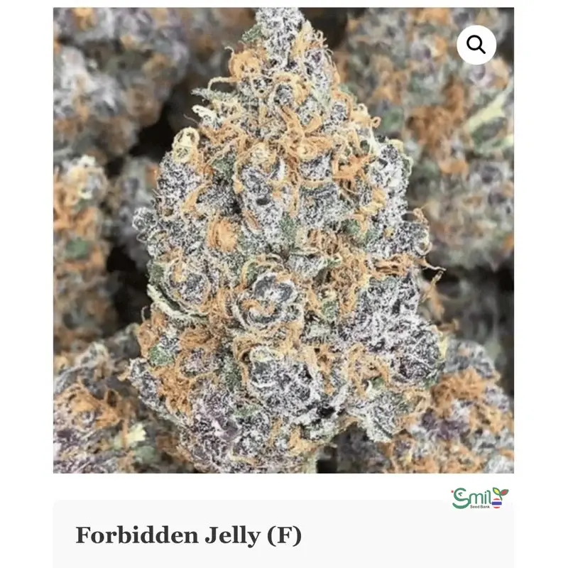 Forbidden Jelly — 2
