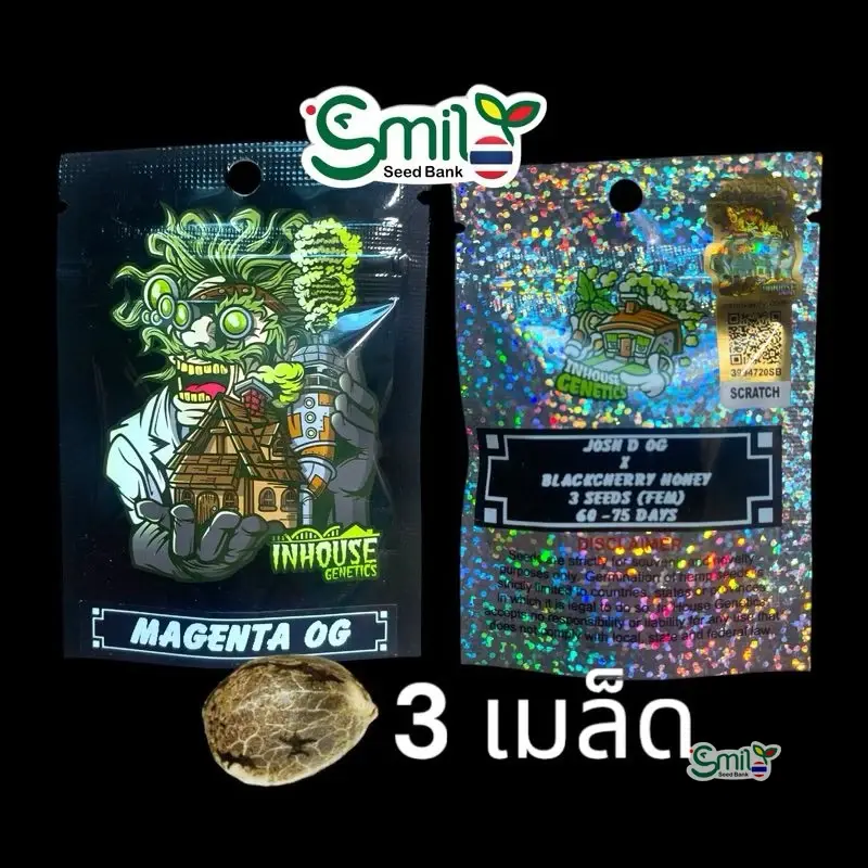 Magenta OG — 1