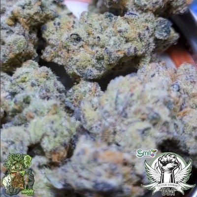 Platinum Yoda — 5