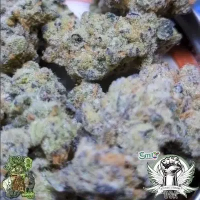 Platinum Yoda — 5
