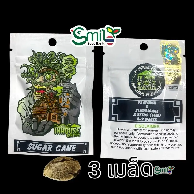 Sugar Cane — 1