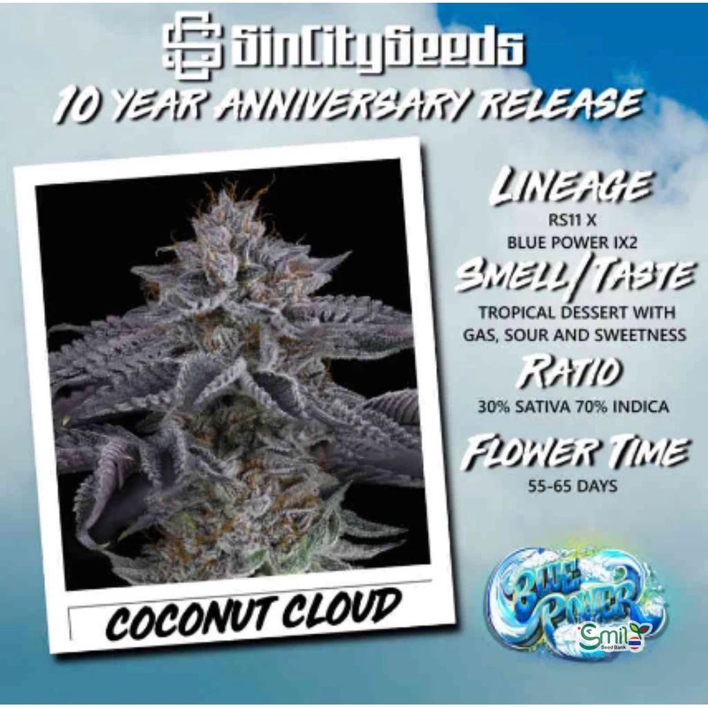 Coconut Cloud — 4