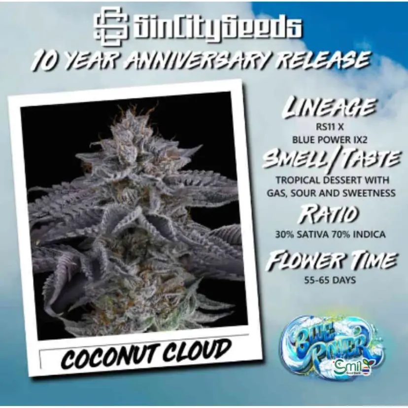 Coconut Cloud — 4