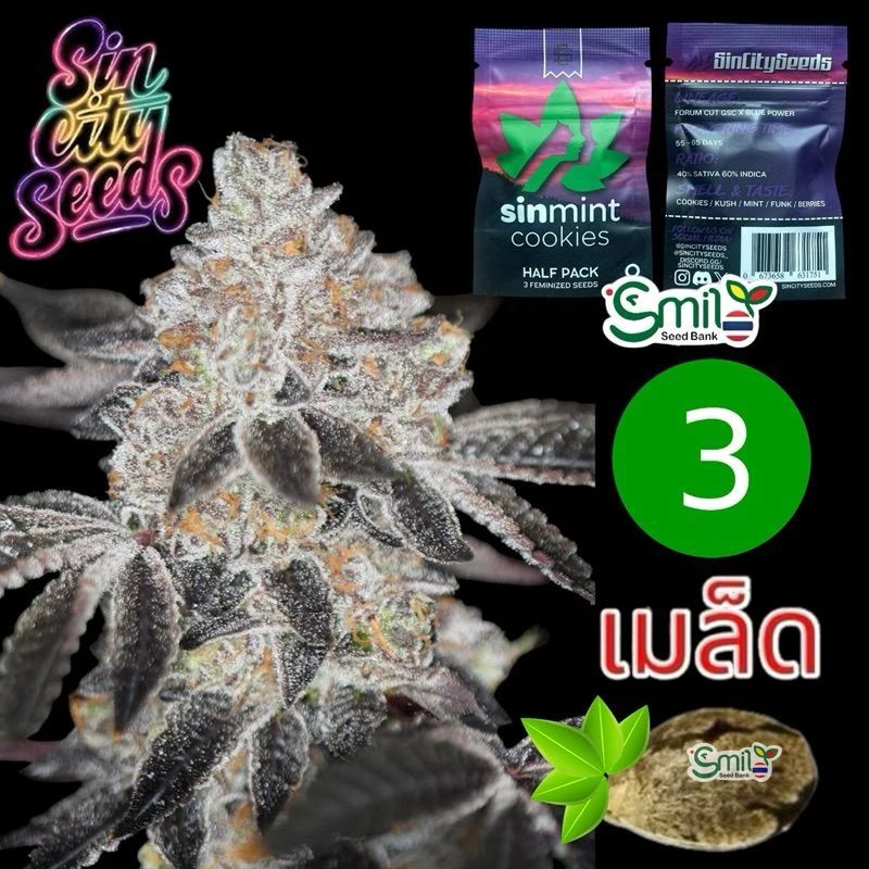SinMint Cookies S1 — 3