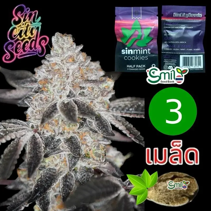 SinMint Cookies S1 — 3