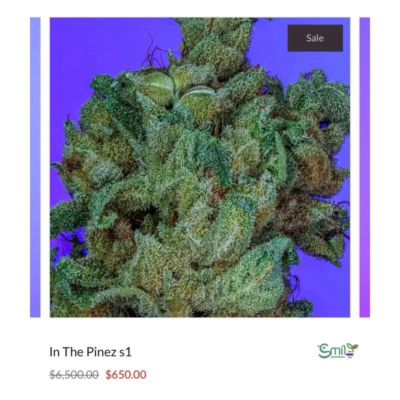 In the Pines — 3