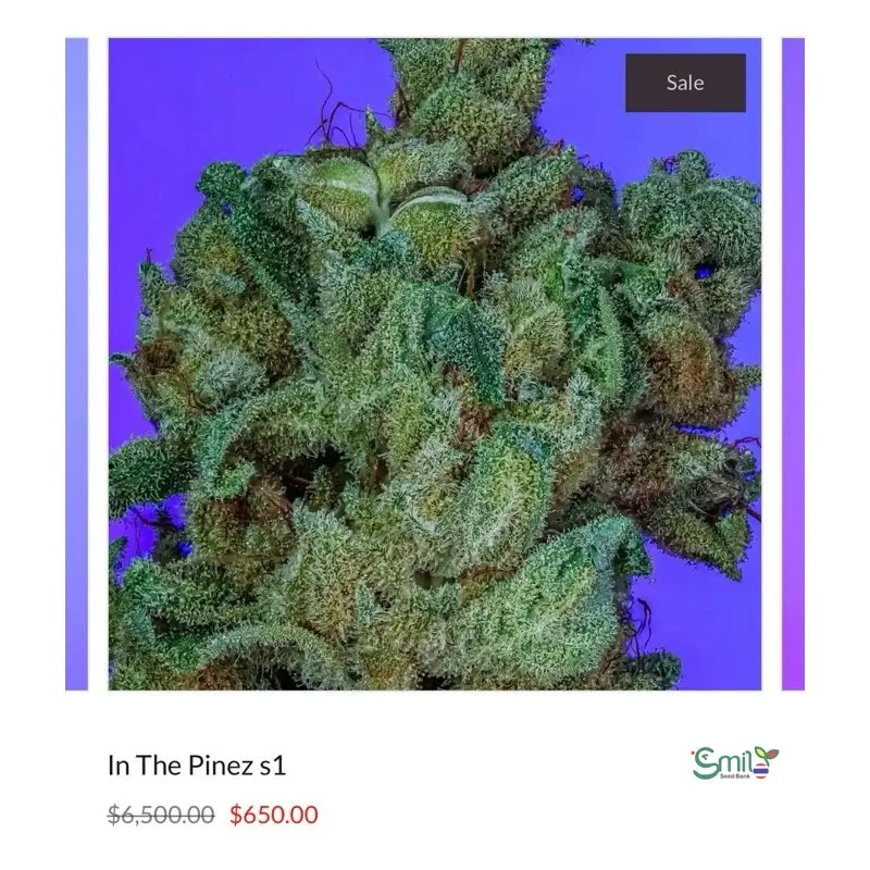 In the Pines — 3